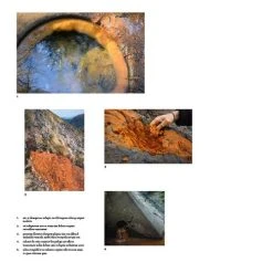 Book Of Earth -Stella Sales B9781419764653c 45037.1686256601