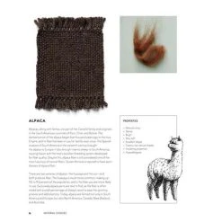 Weaving Big On A Little Loom -Stella Sales B9781648961229c 30667.1651673752