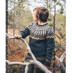 Icelandic Knits -Stella Sales B9781787139374d 95108.1669049135