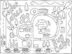 Cedar Lakes Rug Camp
